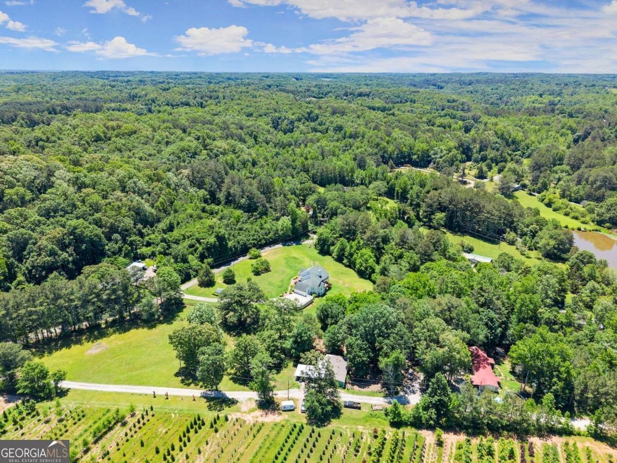 1617 Edwards Mill Road Ball Ground - 48