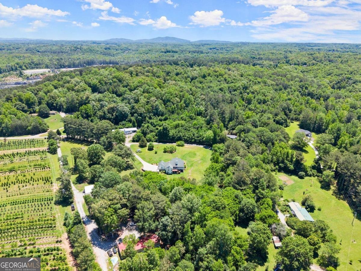1617 Edwards Mill Road Ball Ground - 49