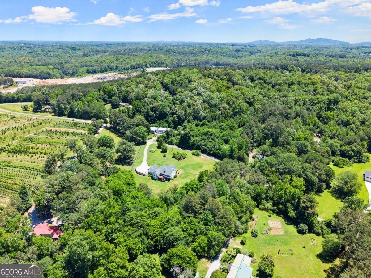 1617 Edwards Mill Road Ball Ground - 50