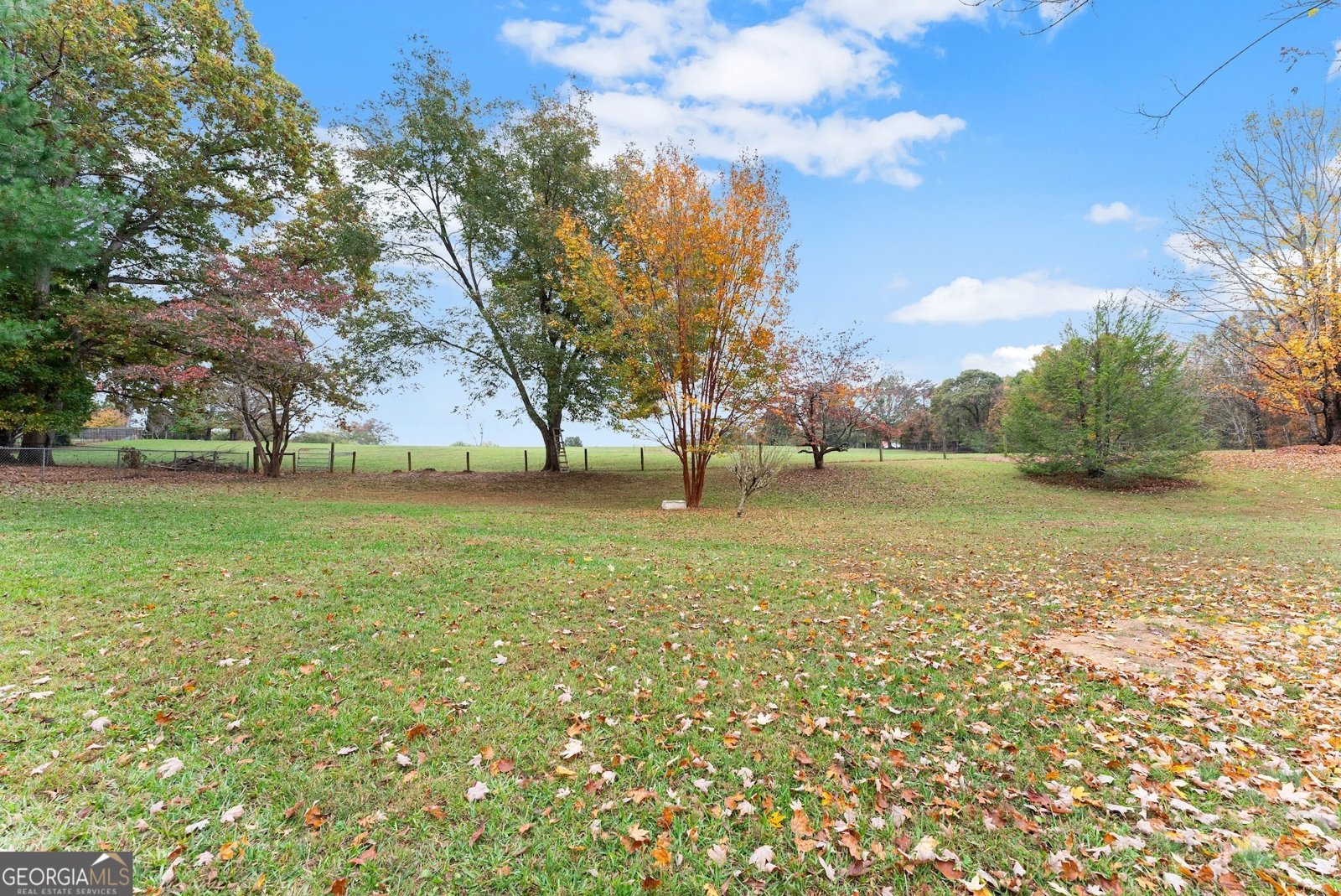 231 Doug Allison Heights Cleveland - 39