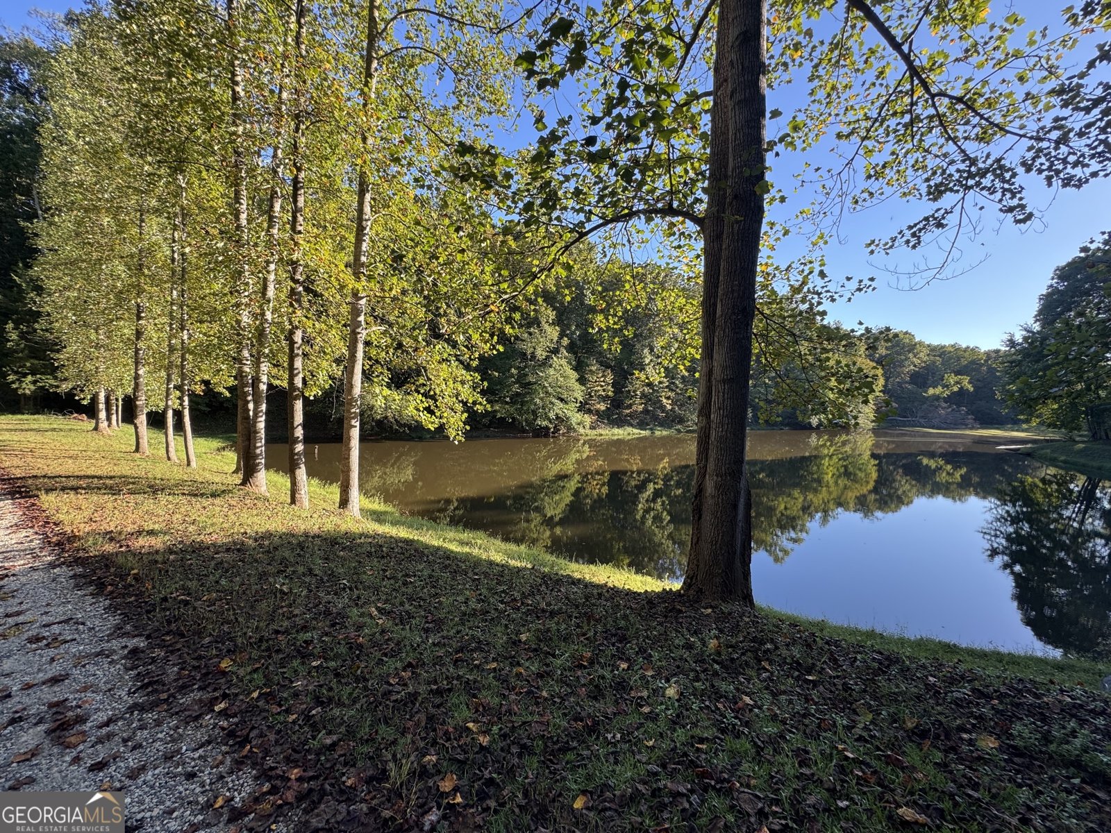 749 Sunflower Drive Hartwell - 20