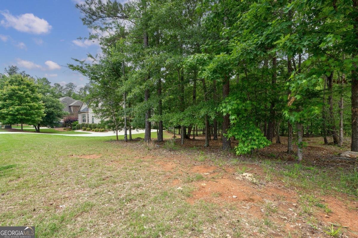 1301 Riverhill Drive Bishop - 42