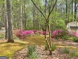 360 Oakland Circle McDonough - 37