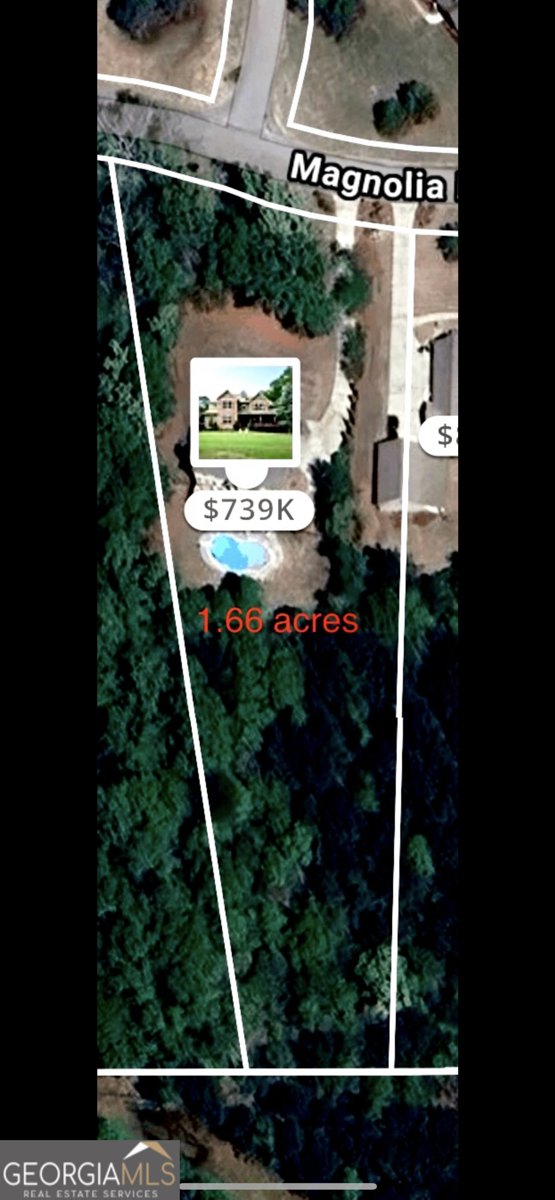 152 Magnolia Place Way Senoia - 60