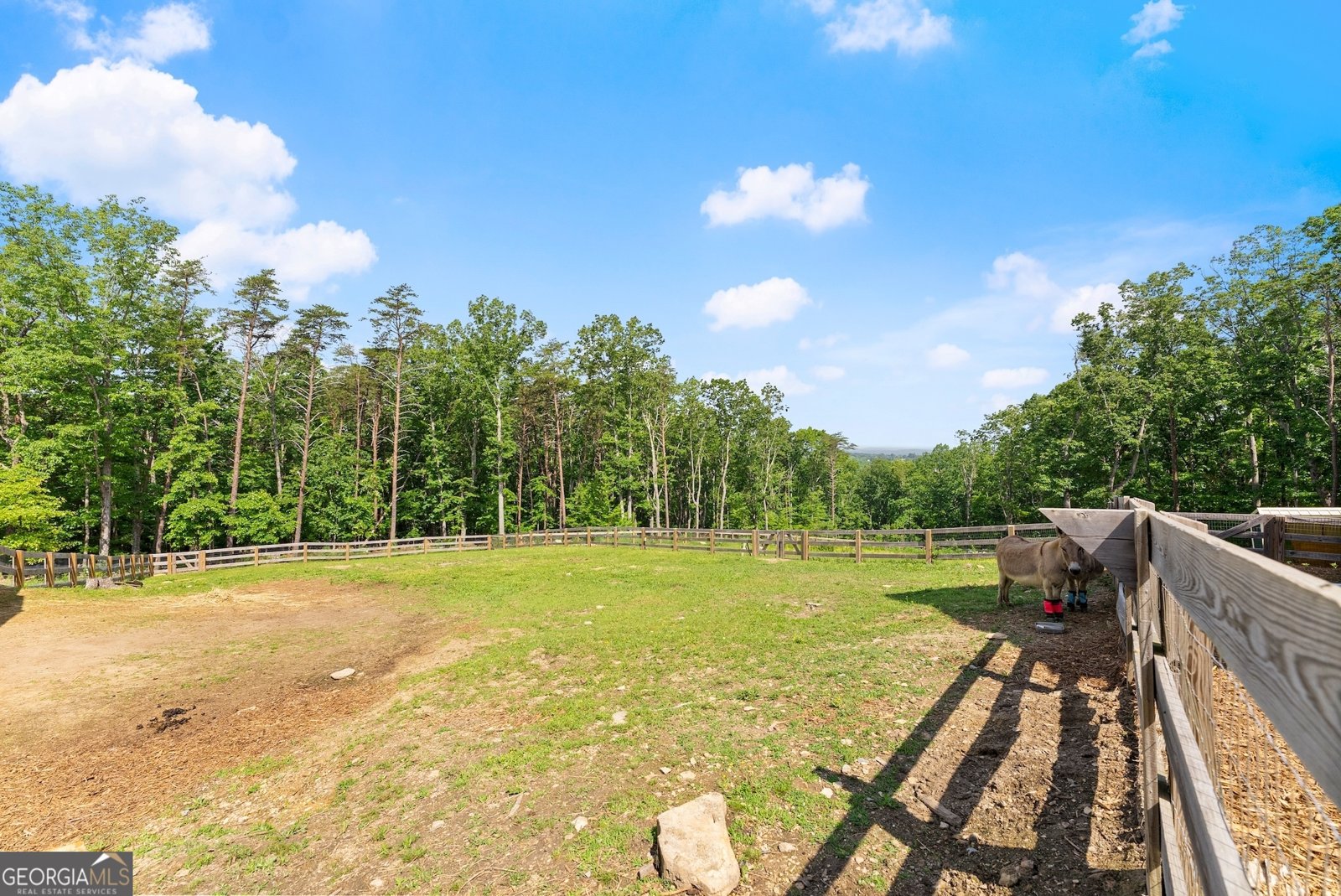 294 Turkey Trail Jasper - 38