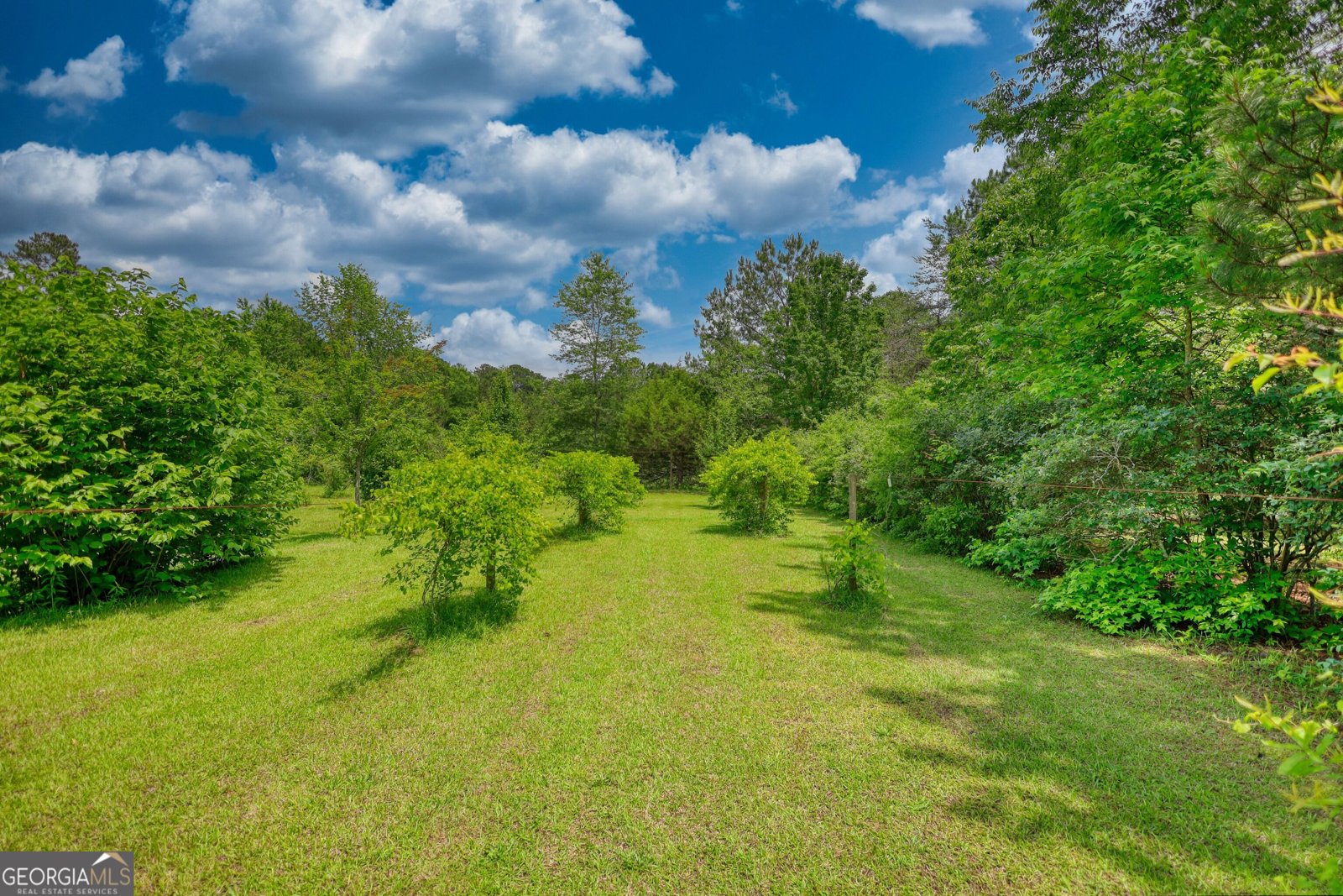 78 Pomona Road Hampton - 43