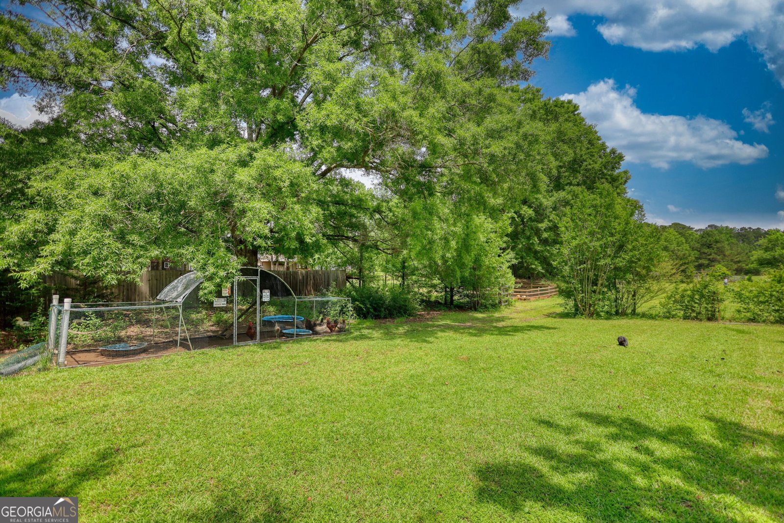 78 Pomona Road Hampton - 47