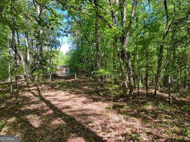 441 Foxfire Road Blairsville - 72