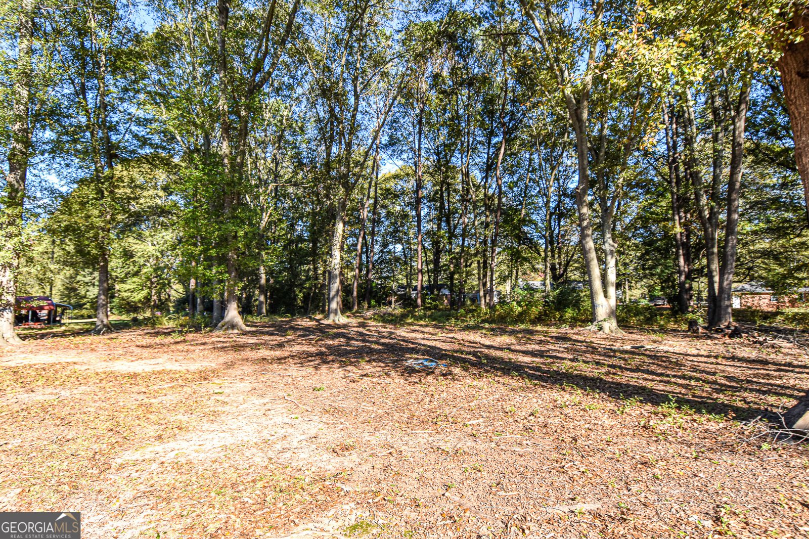 246 Shiloh Road Jenkinsburg - 31