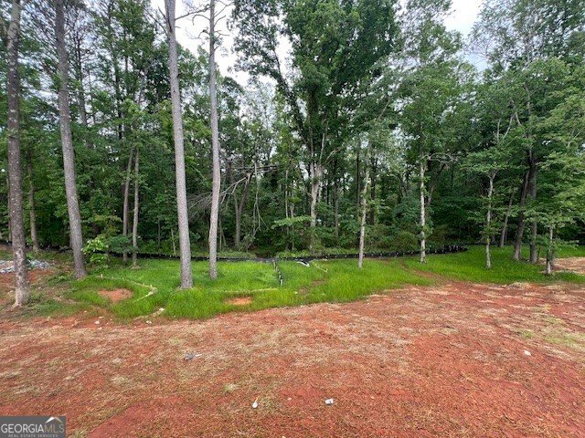 3435 Dr Bramblett Road Cumming - 26