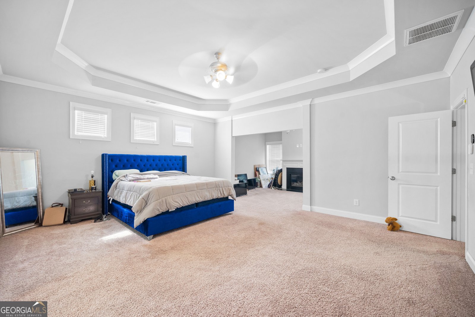 132 Shellbark Drive Mcdonough - 22