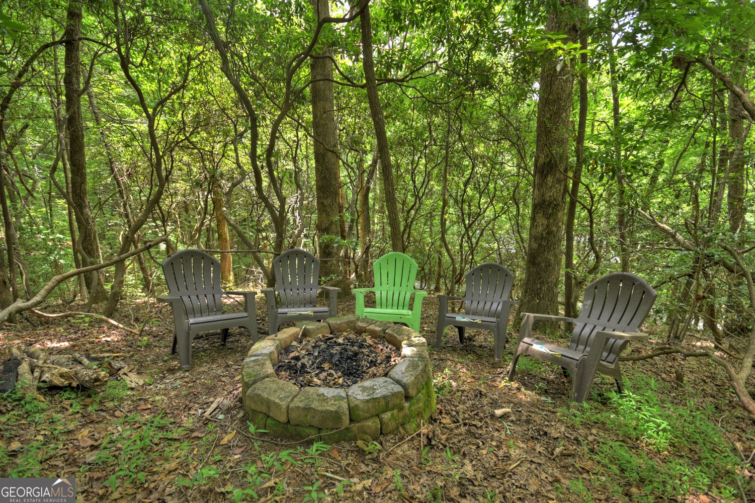 135 Tomahawk Trail Blue Ridge - 53