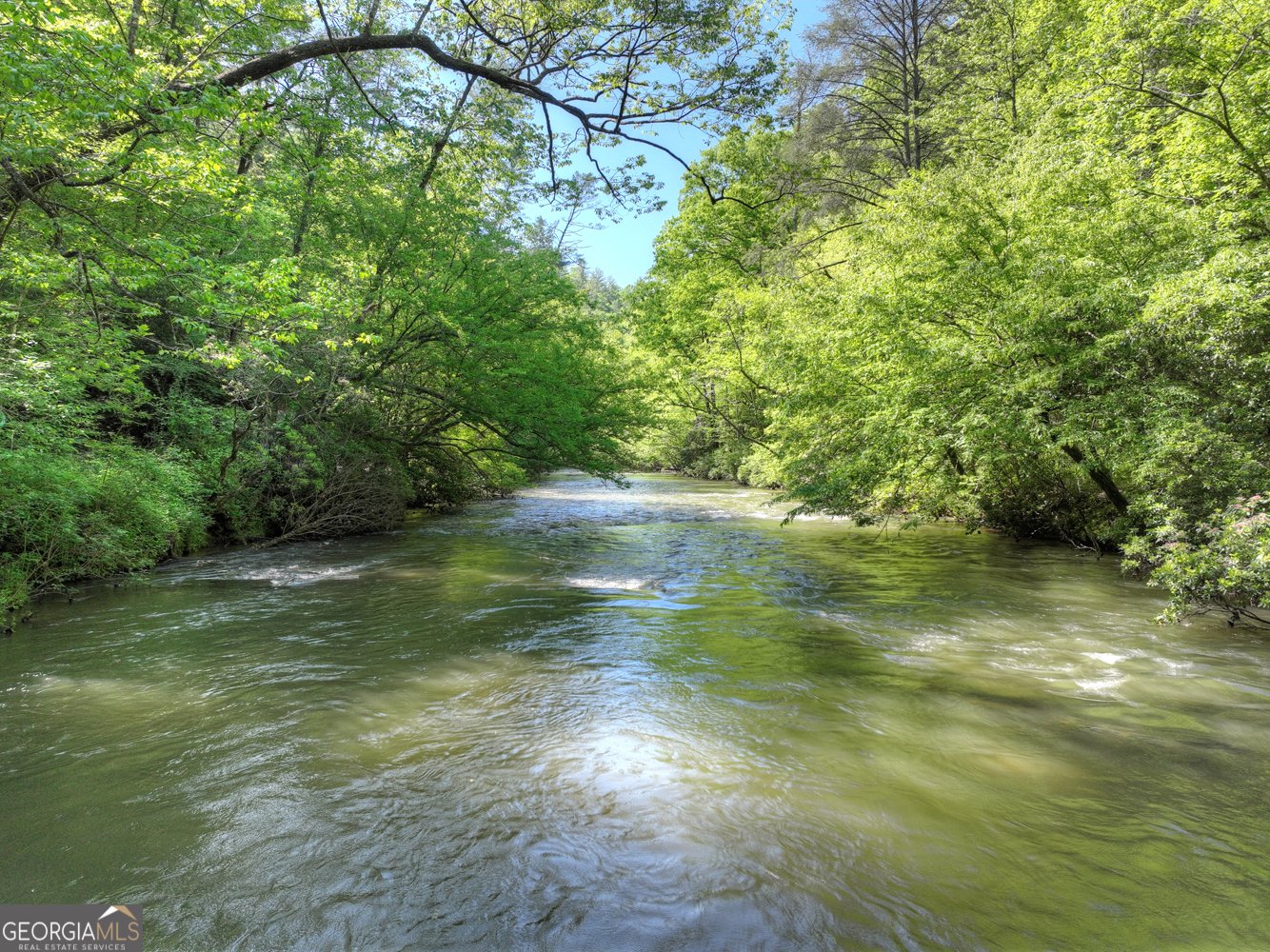 46 Private Drive Ellijay - 3