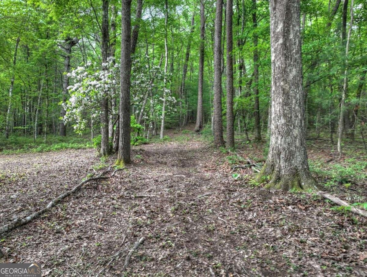 123 Old Fjord Road Blue Ridge - 8