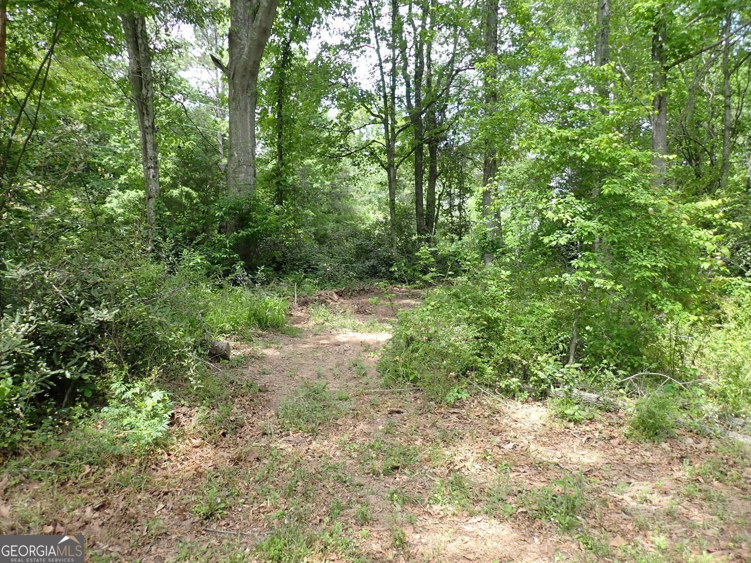 185 Kinards Mill Road Jackson - 6