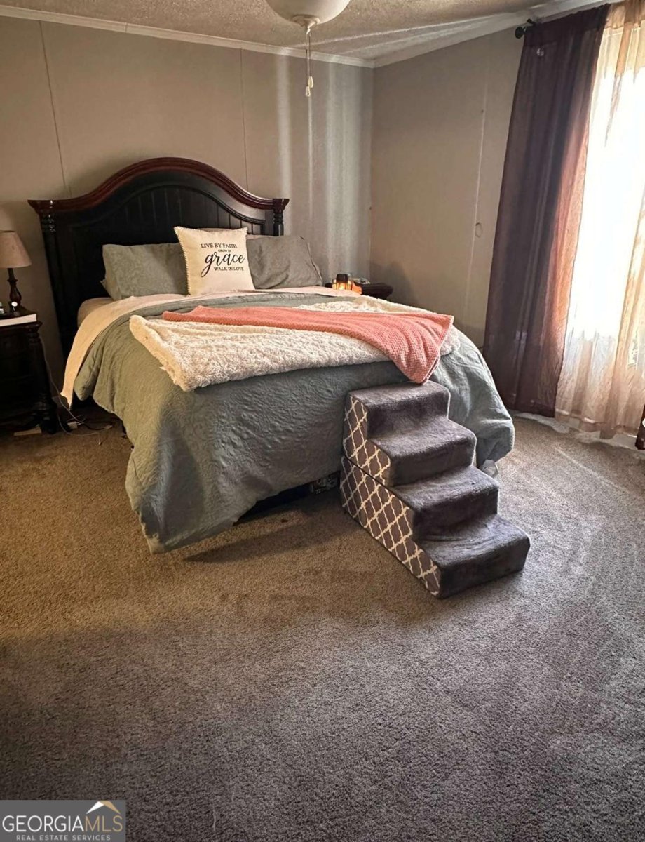 6675 Millwood Road Cumming - 27