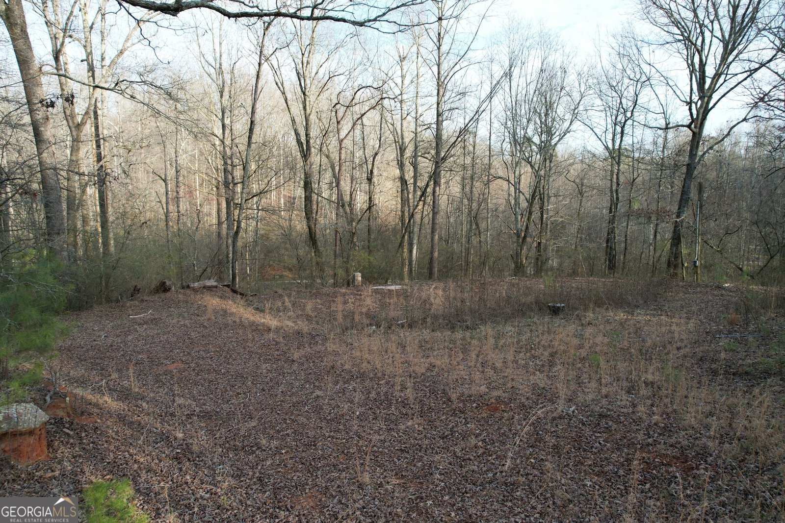 6675 Millwood Road Cumming - 30