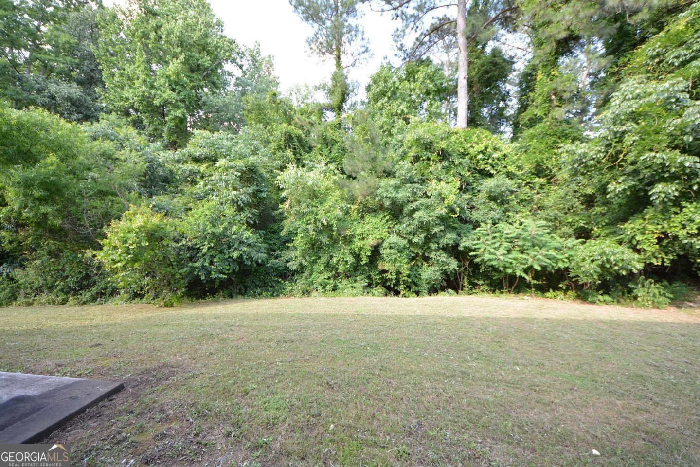 2307 Overlook Avenue Lithonia - 4