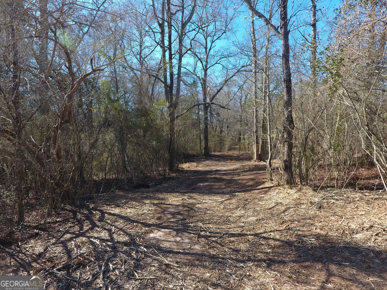 1015 Walkers Mill Road Griffin - 121