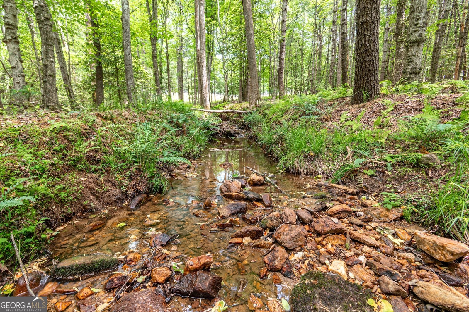 347 Dowd Road Morganton - 54