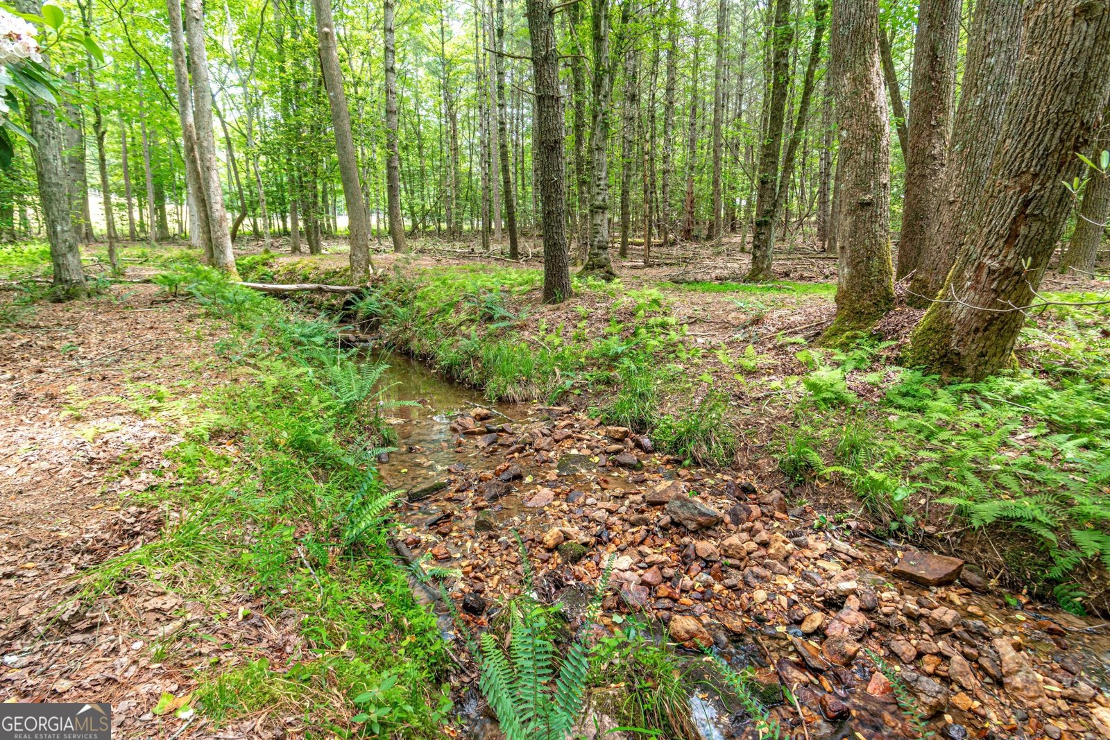 347 Dowd Road Morganton - 55