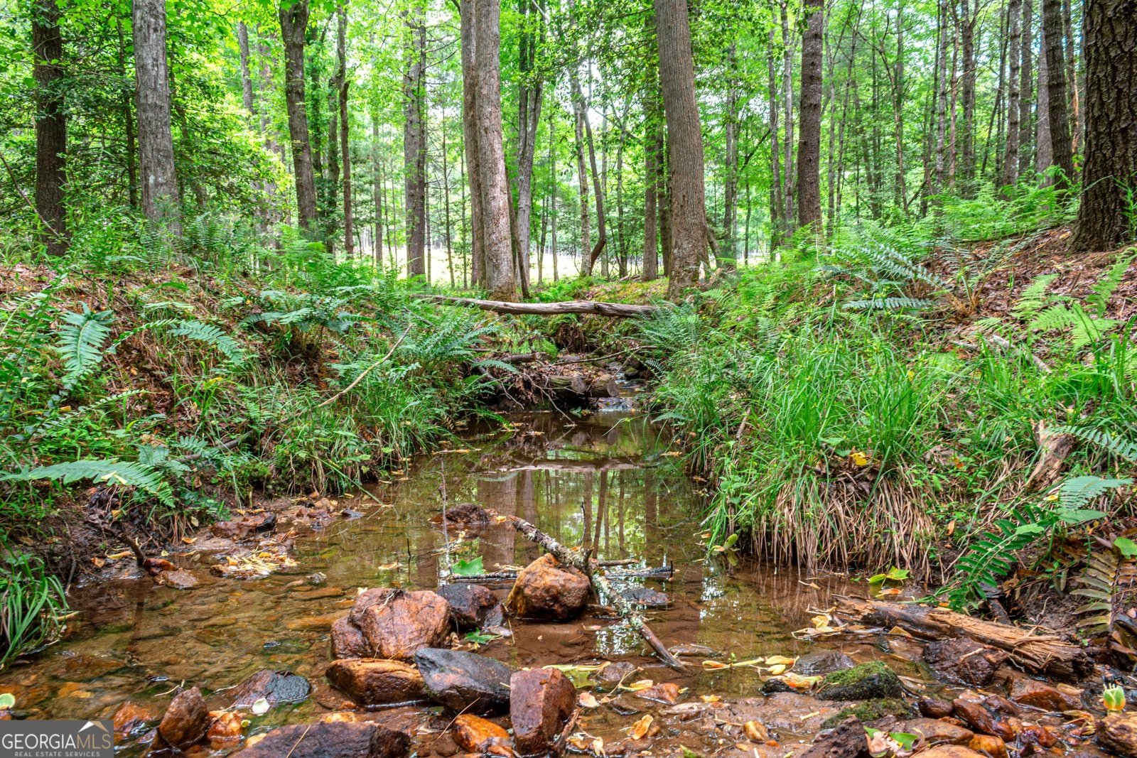 347 Dowd Road Morganton - 56