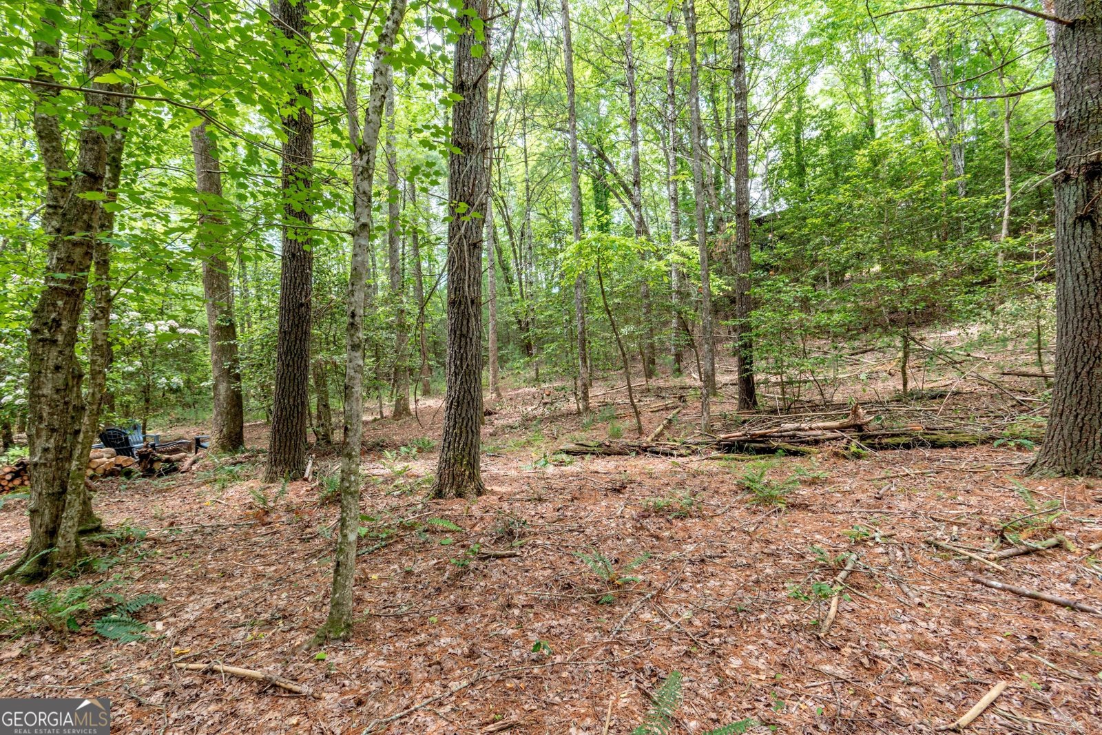 347 Dowd Road Morganton - 60
