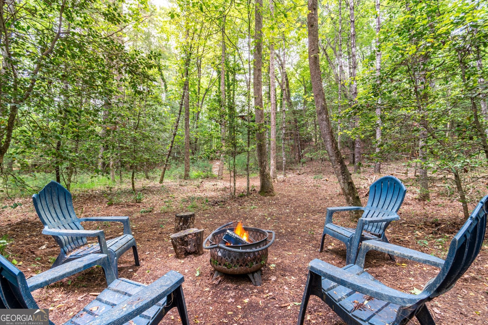 347 Dowd Road Morganton - 7