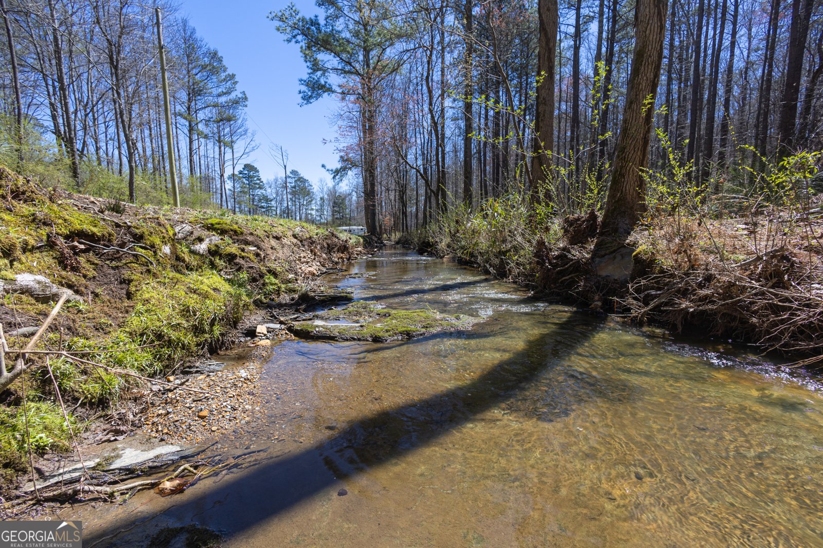 727 County Road 677 Ranburne - 2