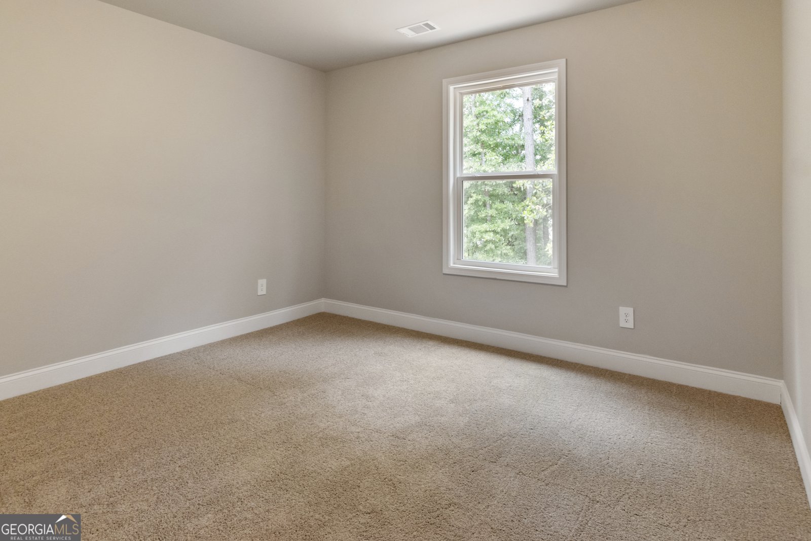 215 Davis Lake Court Thomaston - 24