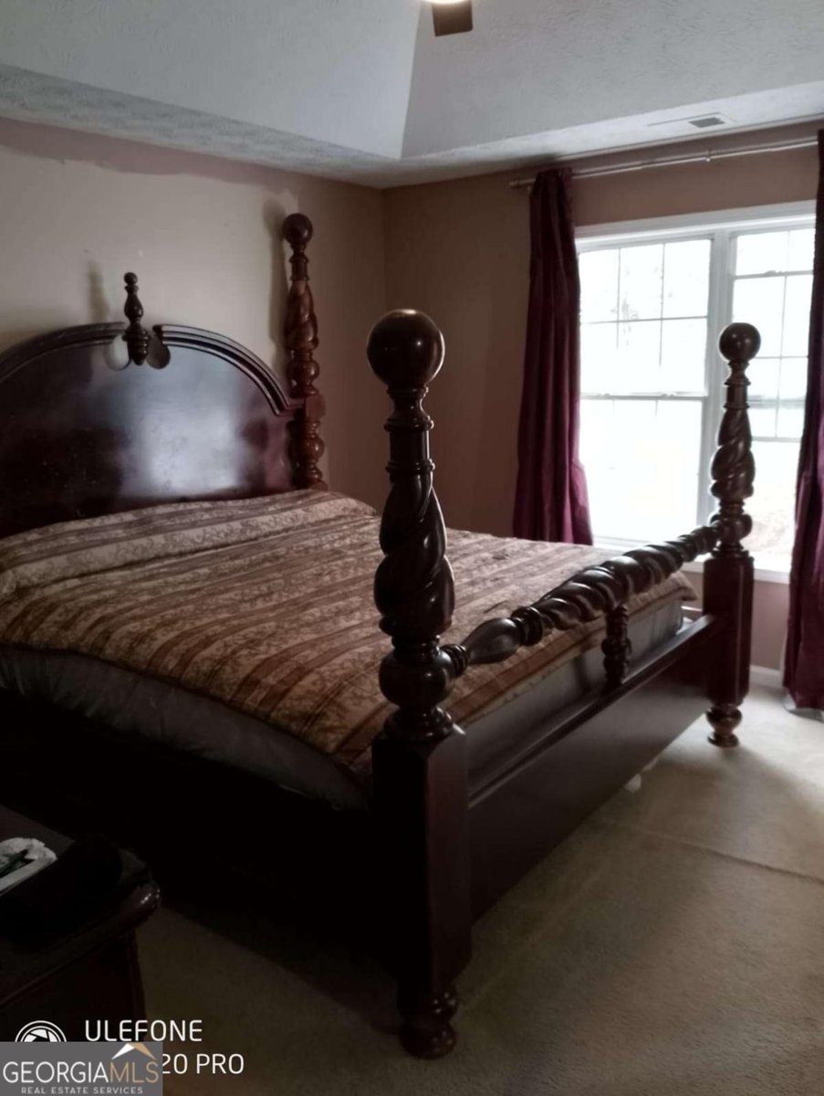 2918 Egret Lane Austell - 33