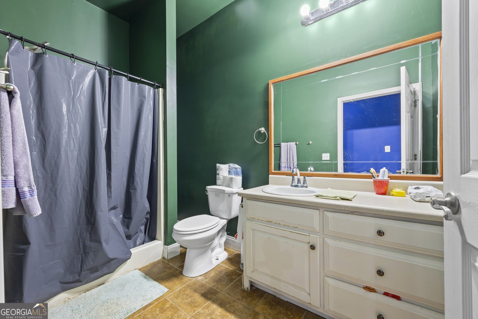 387 Lauren Marie Drive Braselton - 10