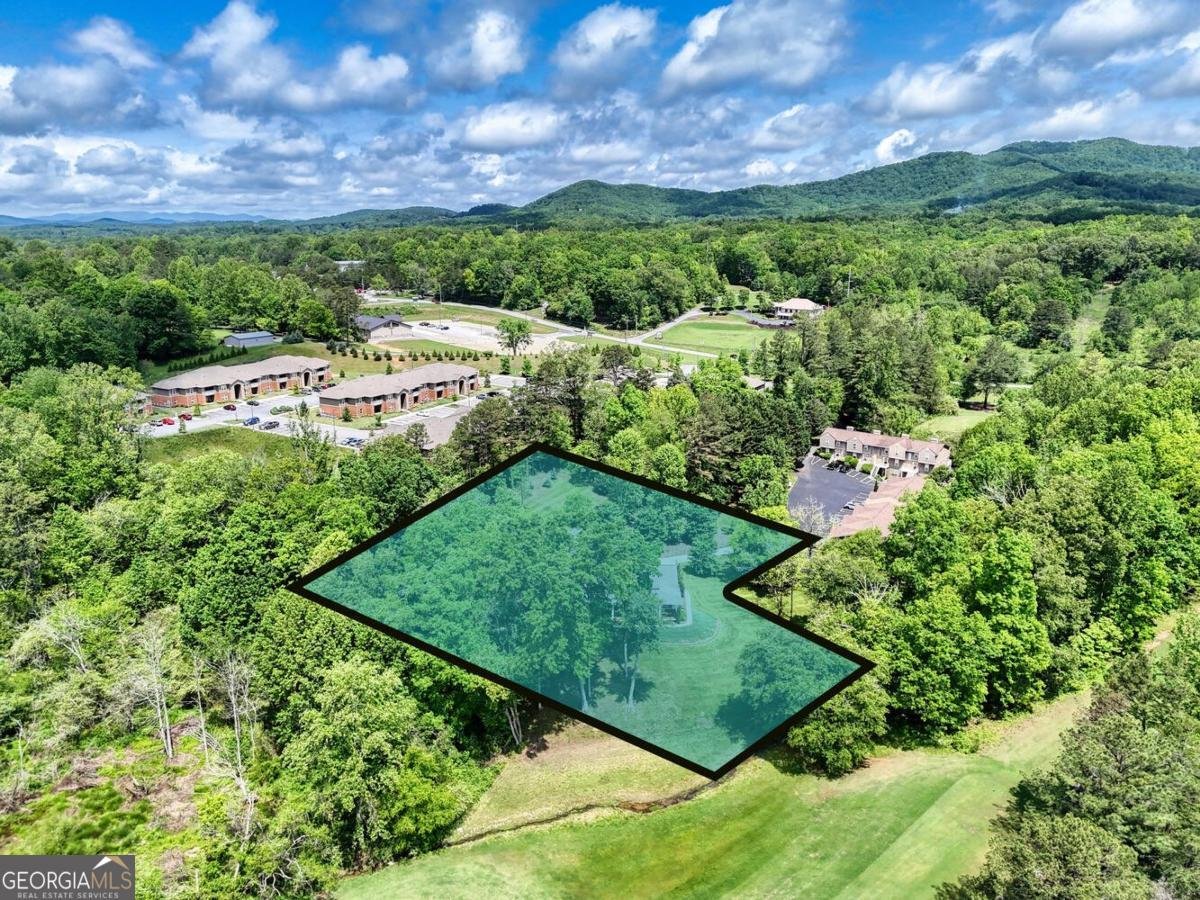 134 Birdie Lane Blairsville - 49