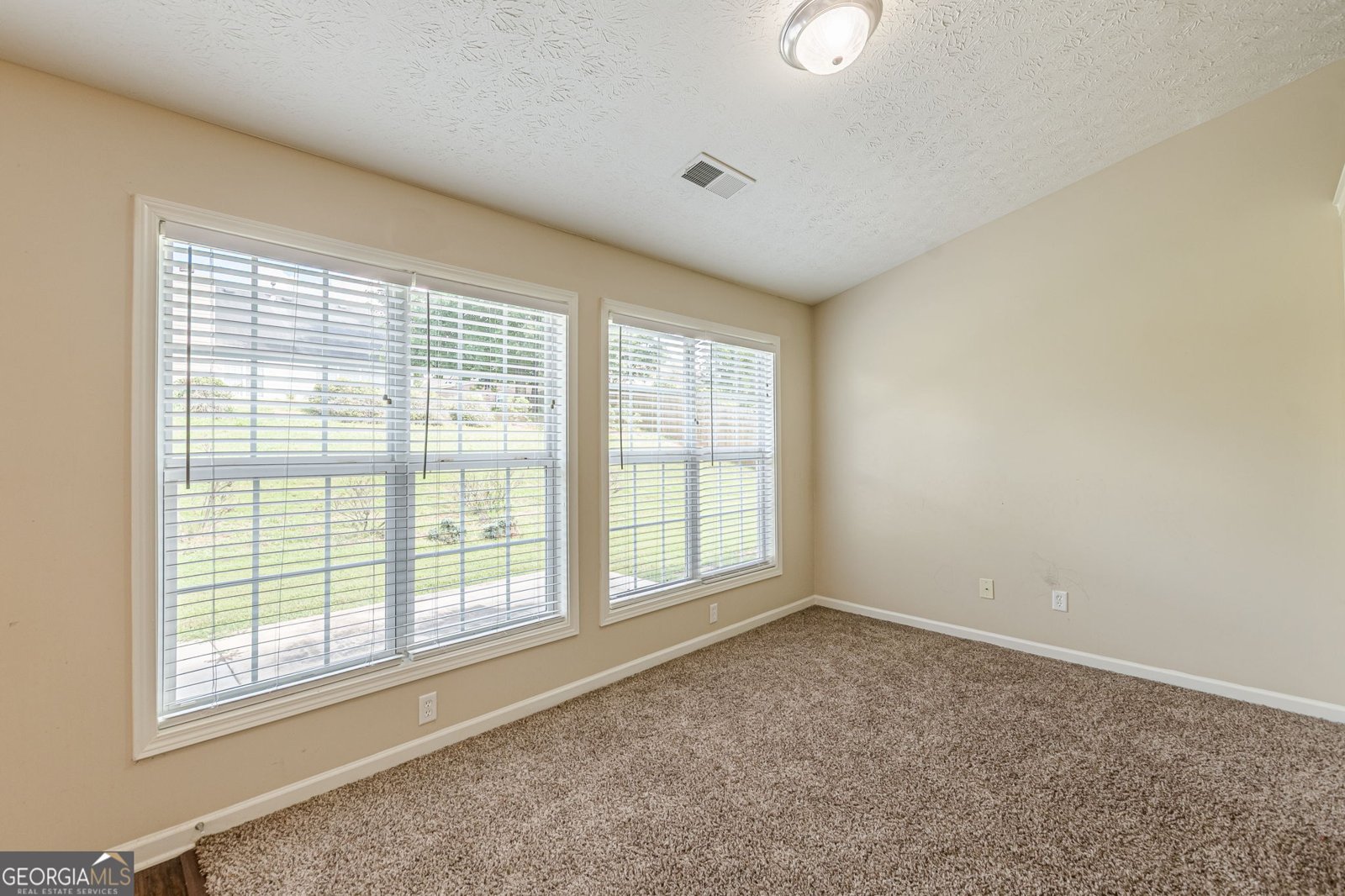 124 Sparkling Spring Trail Mcdonough - 29