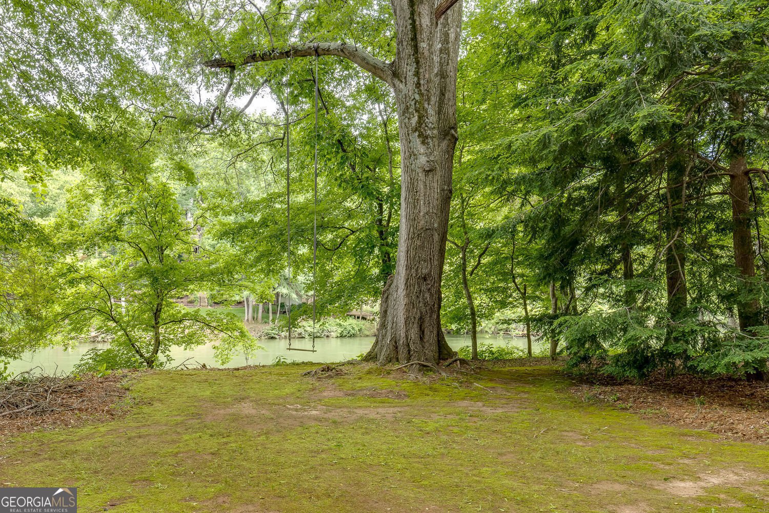 314 Caruso Court Sandy Springs - 77