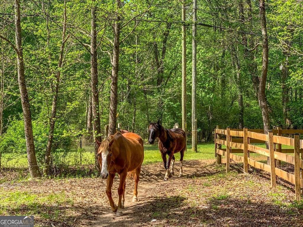 1573 Sautee Trail Sautee Nacoochee - 73