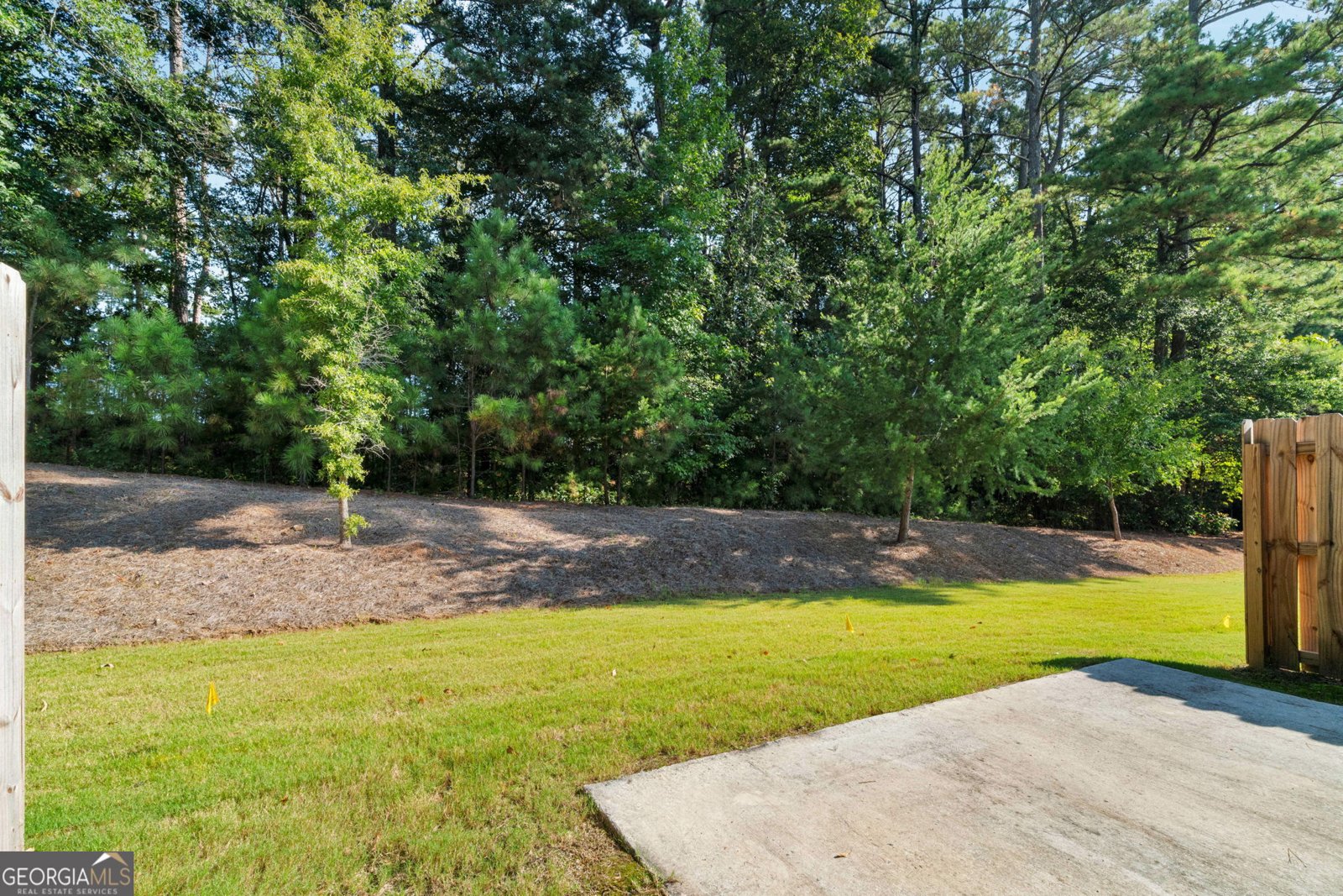 213 Yellowwood Way Woodstock - 30