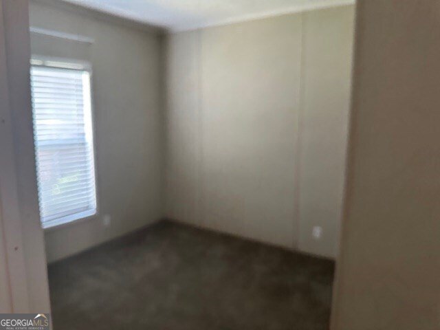 250 Cedar Heights Road Carrollton - 13