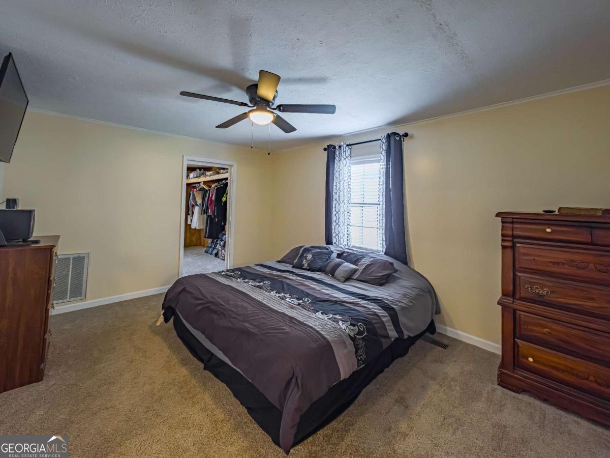 111 Old Mail Road Sylvester - 18