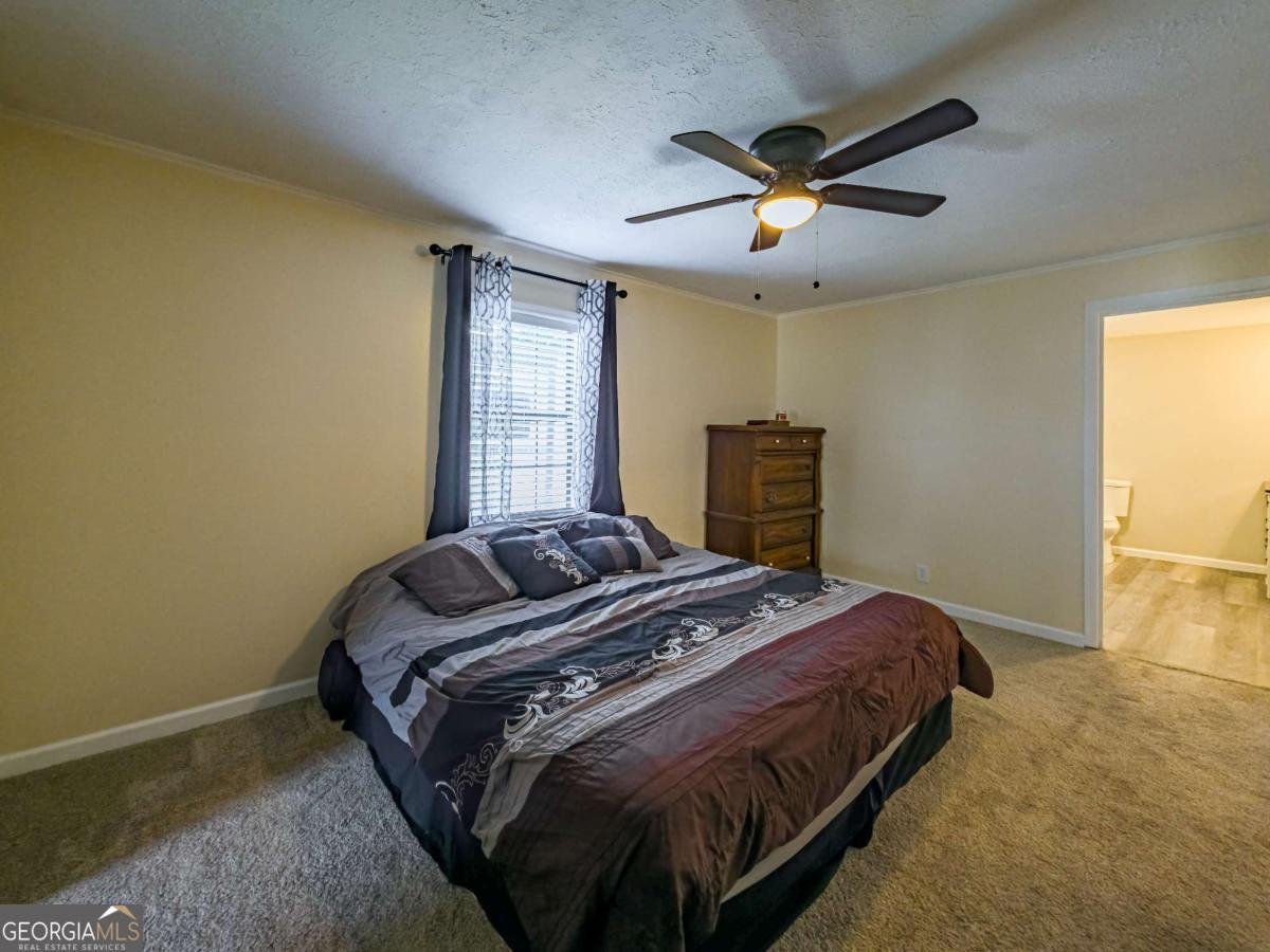 111 Old Mail Road Sylvester - 19