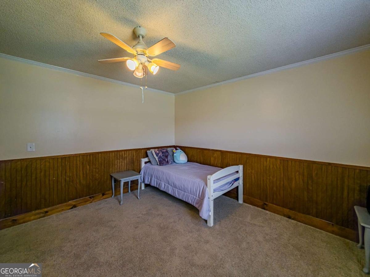 111 Old Mail Road Sylvester - 27