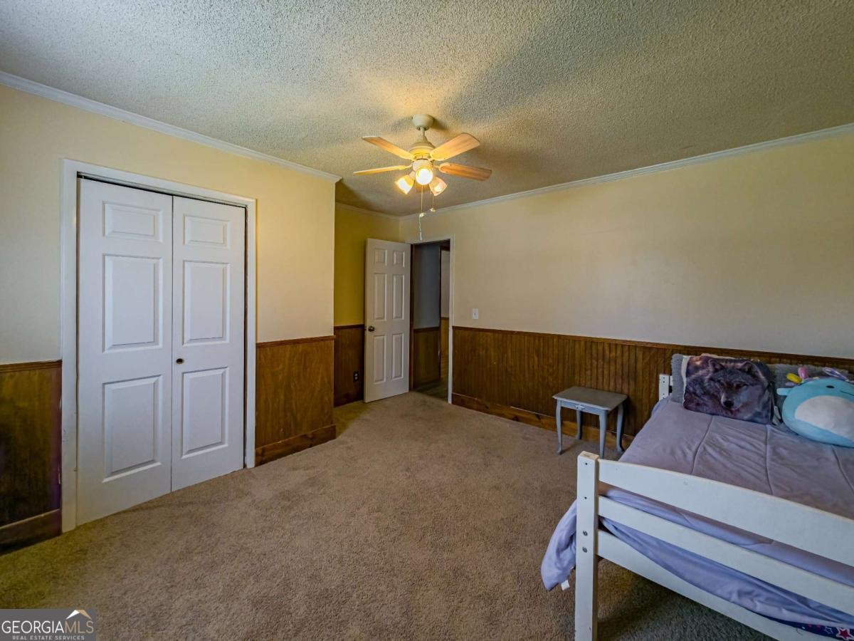 111 Old Mail Road Sylvester - 28