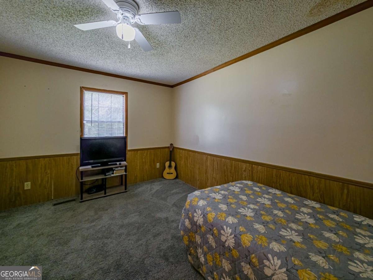 111 Old Mail Road Sylvester - 34