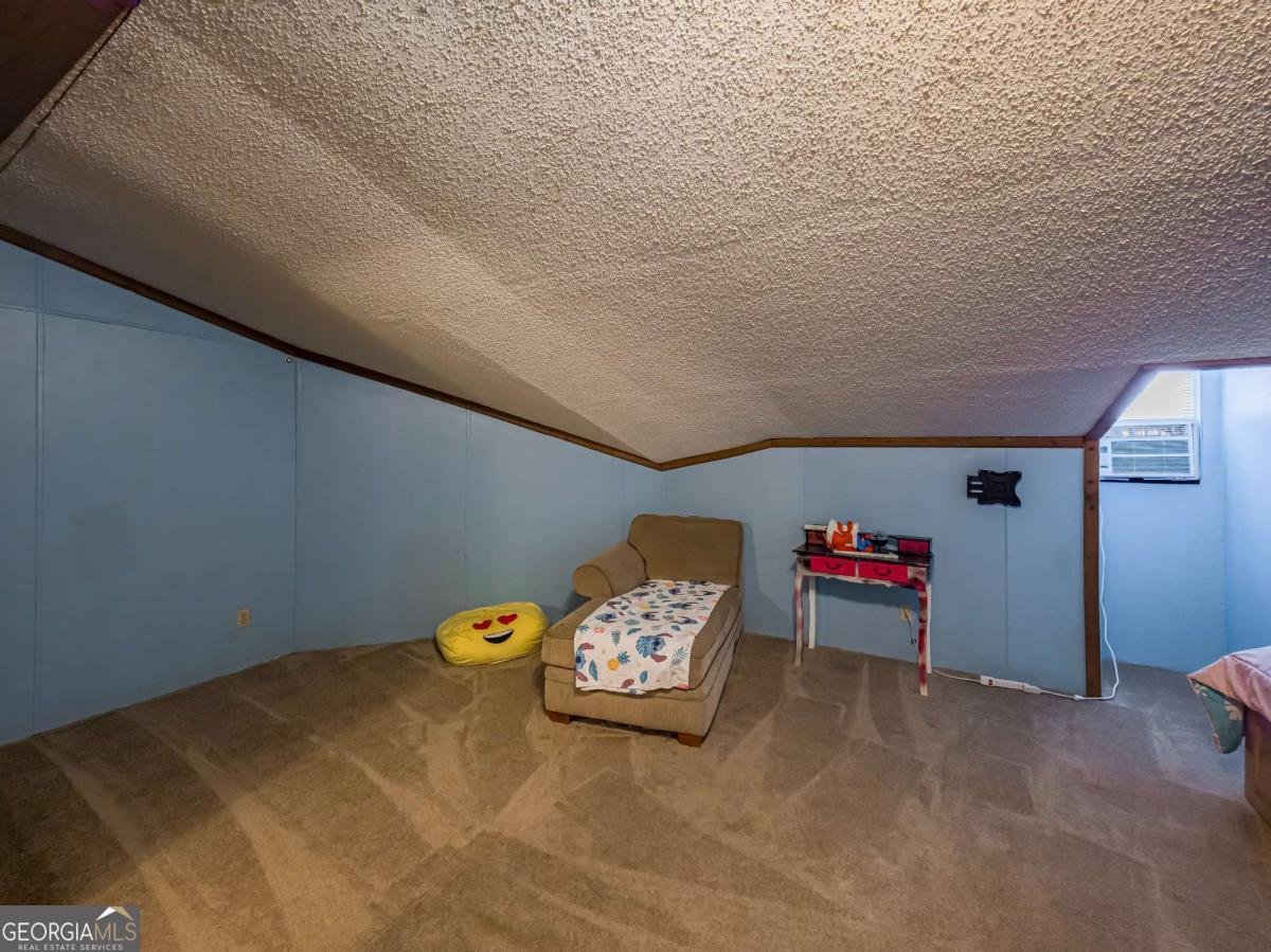 111 Old Mail Road Sylvester - 36