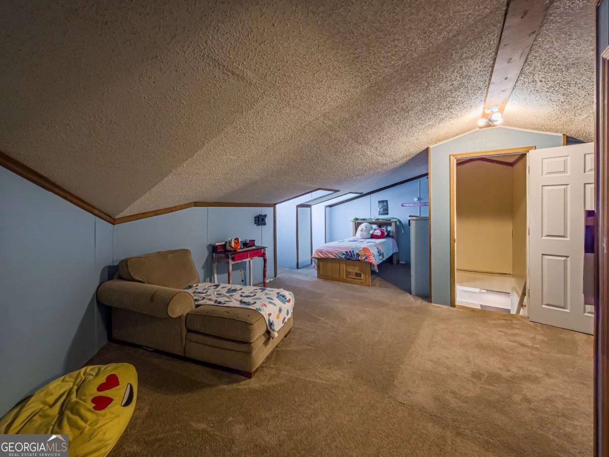 111 Old Mail Road Sylvester - 37