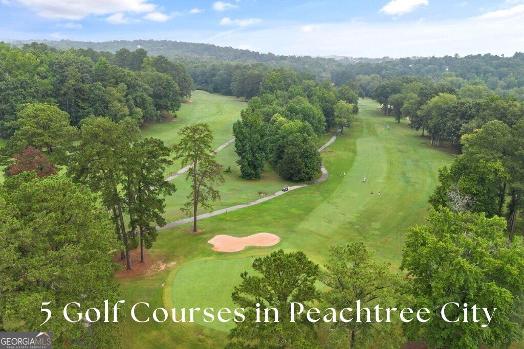 1240 Hayes Square Peachtree City - 49