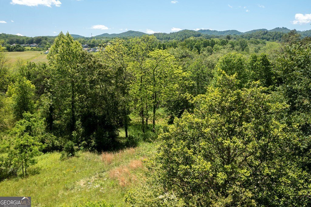 156 Spoon Hill Drive Hayesville - 61