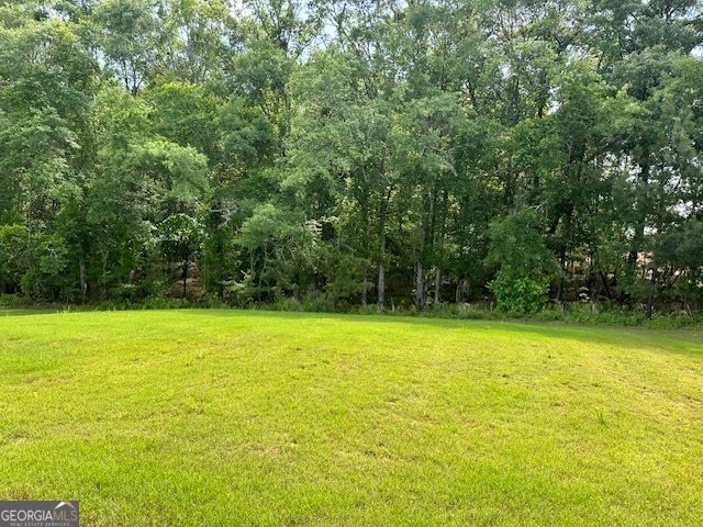 340 McGiboney Lane Covington - 28