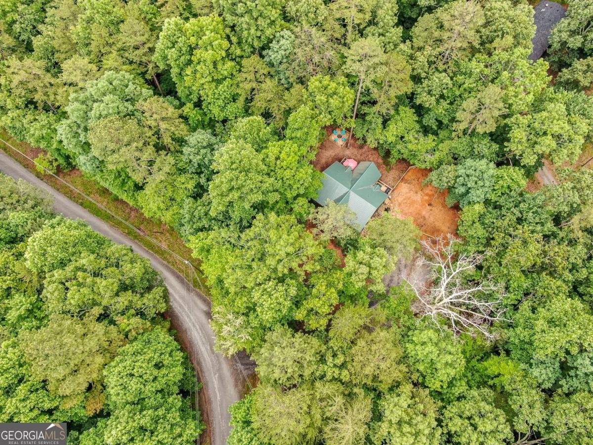 257 Acadia Drive Ellijay - 36