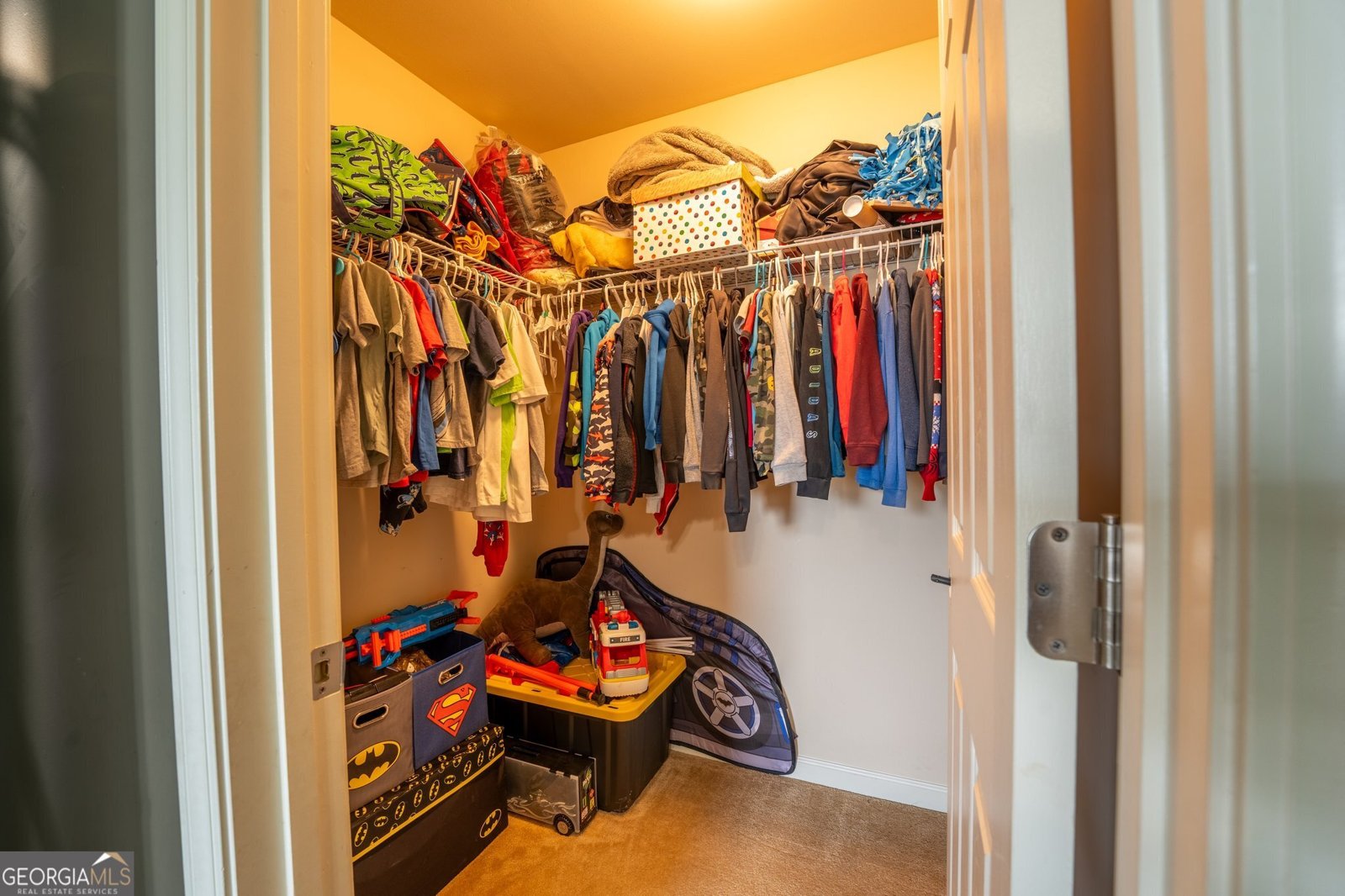 1208 LOOWIT FALLS Court Braselton - 53